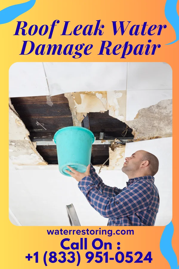 Roof Leak Water Damage Repair in Fair Oaks, OR